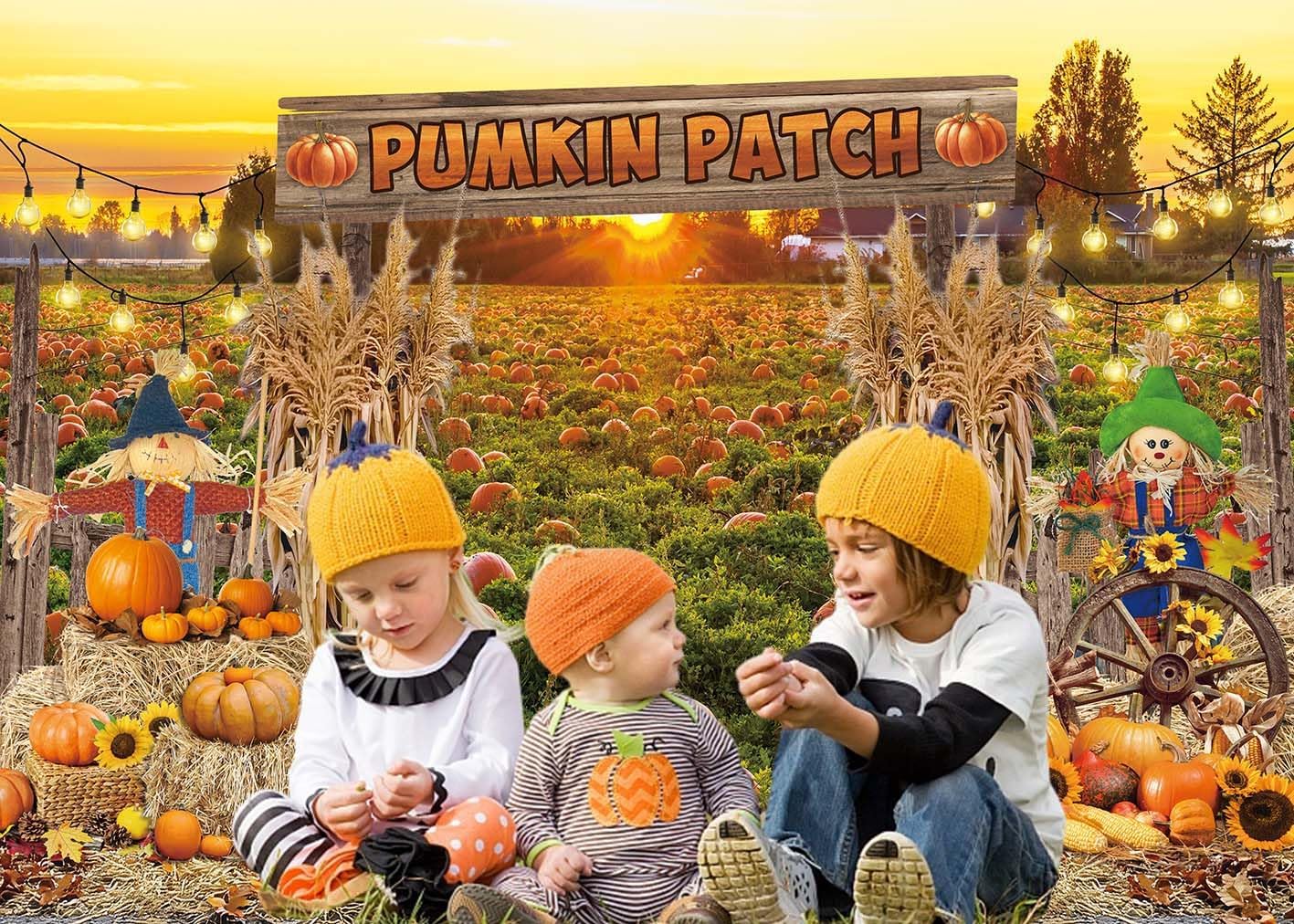 Fall Pumpkin Patch Backdrop Banner Autumn Pumpkin Harvest Photography Background Fall Halloween Autumn Thanksgiving Party Decorations Photo Props (2.4x1.8m)