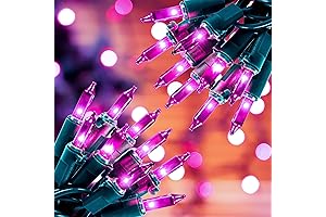 2PCS Purple LED String Lights for Halloween