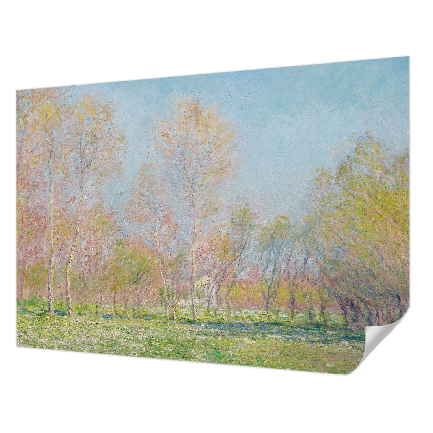 Papier peint panoramique haute qualité tapisserie murale autocollante 312x219