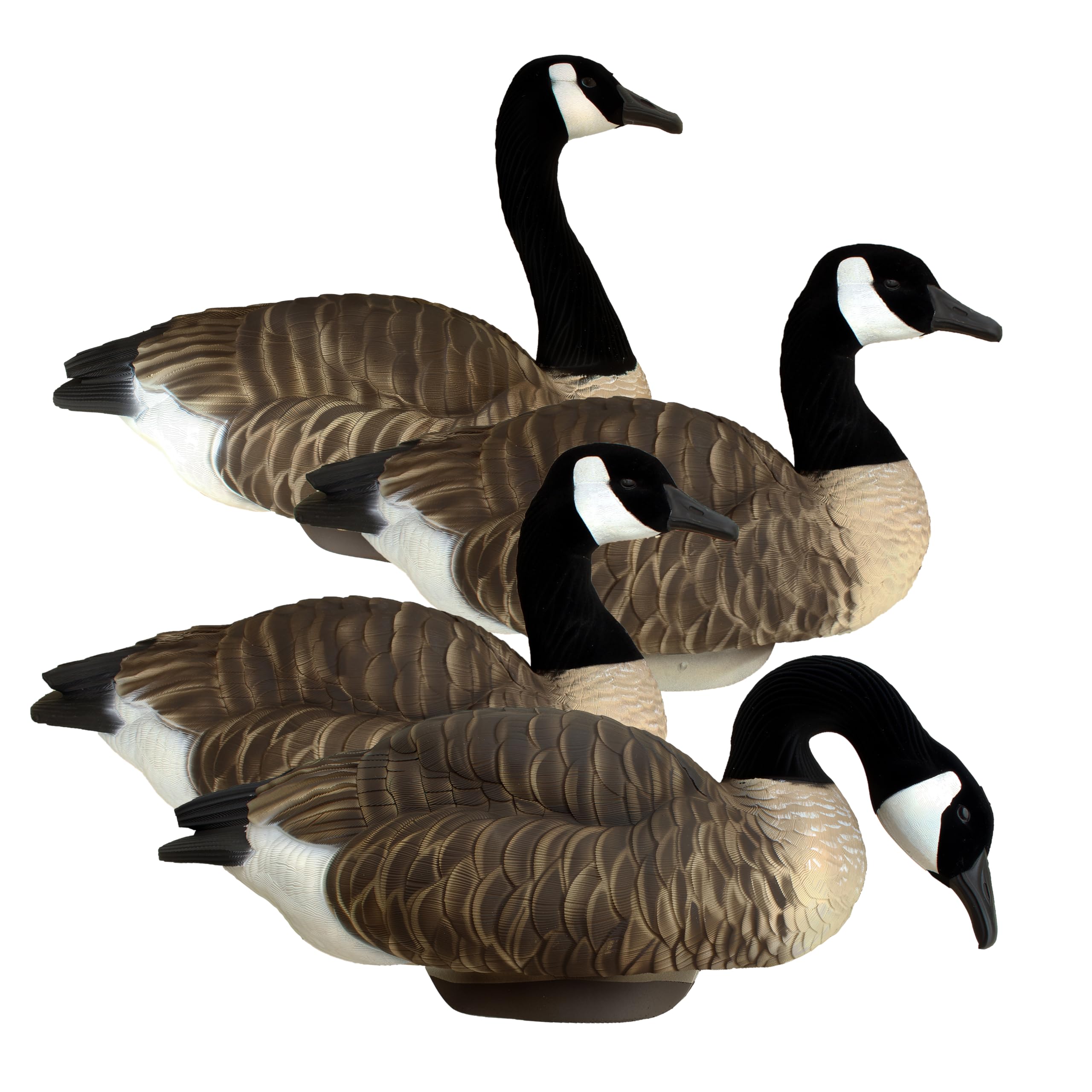 Best Goose Decoys of 2026 HydroFoam Floater
