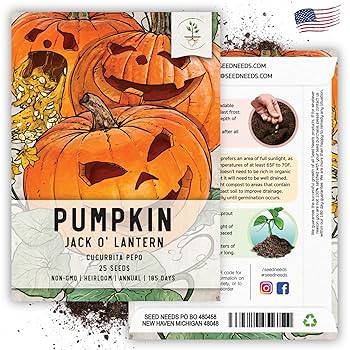 Pumpkinsさん専用 22