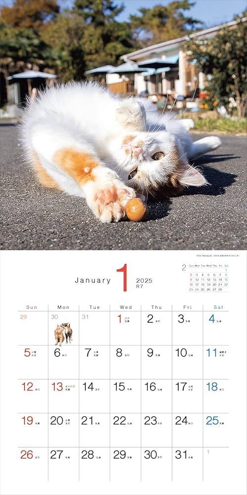 メルカリで24時間以内に売れなければ300円　「みんな待ってる花猫ニャンコ」 メルカリで24時間以内に売れなければ300円❗️「みんな待ってる花猫