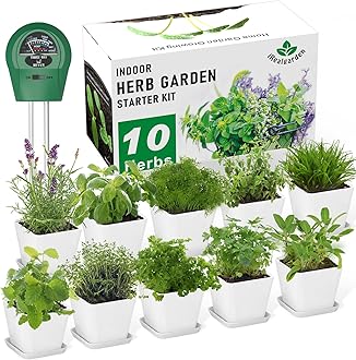 Indoor Herb Garden Kit – 10 Non-GMO Herb Seeds with Soil, Pots & Moisture Meter – Easy Windowsill Gardening Starter Set – Unique Gift for Gardeners, Home Chefs & Families