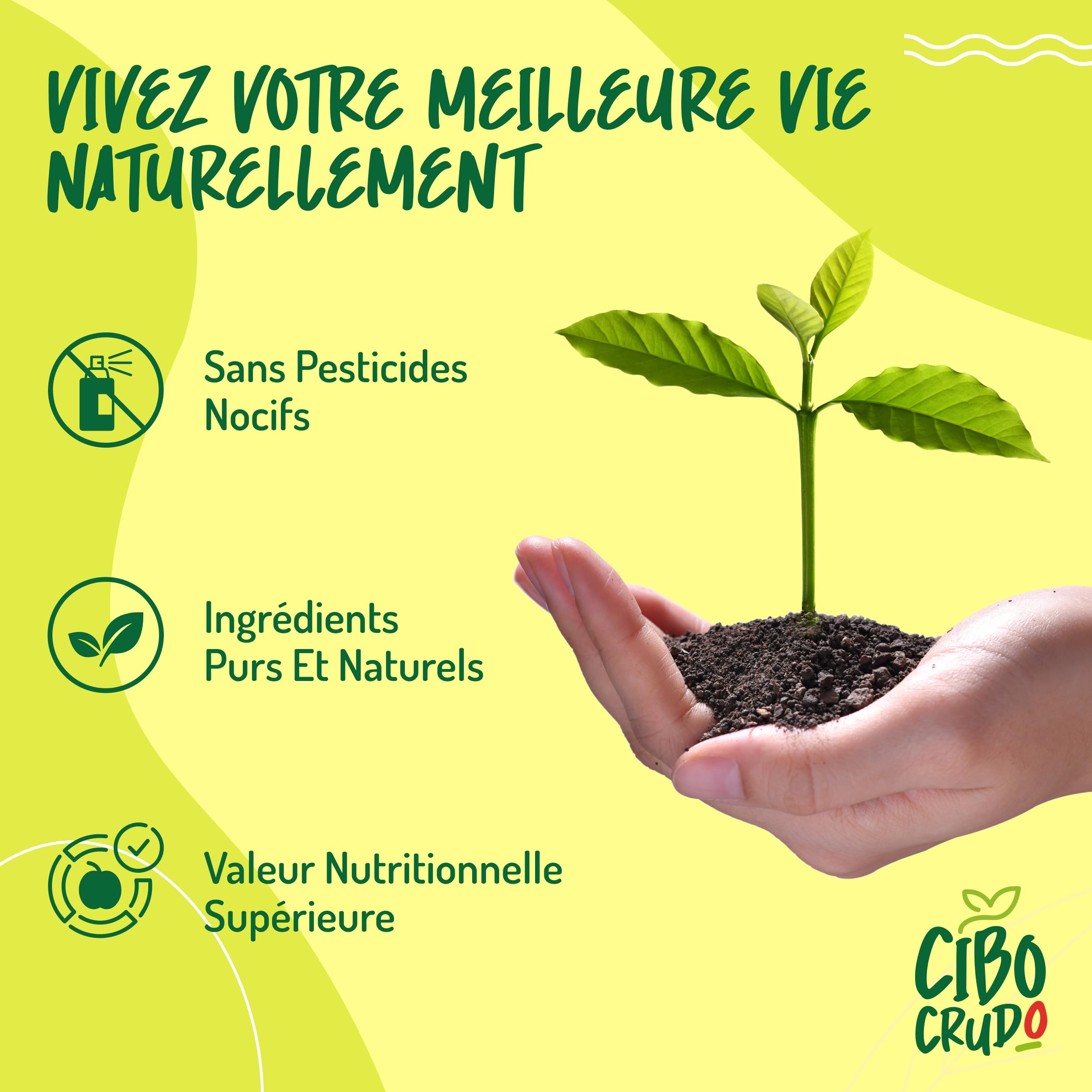 Huile d'Avocat Bio - 500 ml. Huile Avocat Biologique 100% Pur et Naturelle. Huile d'Avocat Pressée à Froid. Idéale pour la Cuisson, l'Assaisonnement et la Marinade. Avocado Oil.