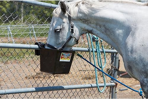 Vista 22 de Little Giant® Comedero de plástico con gancho Cubo de alimentación para ganado y mascotas Cubo de alimentación para caballos Fabricado en Azul