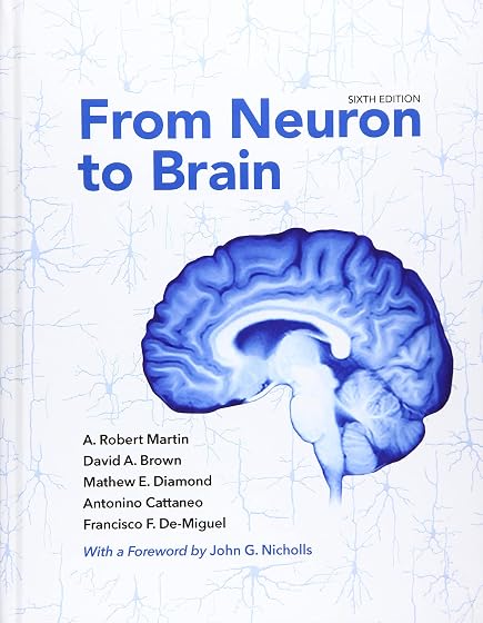From Neuron to Brain