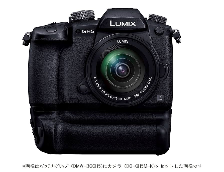 Panasonic LUMIX GH5 ボディ + バッテリーグリップ付き 714Fh+Kdf9L._UF894,1000_QL80_.jpg
