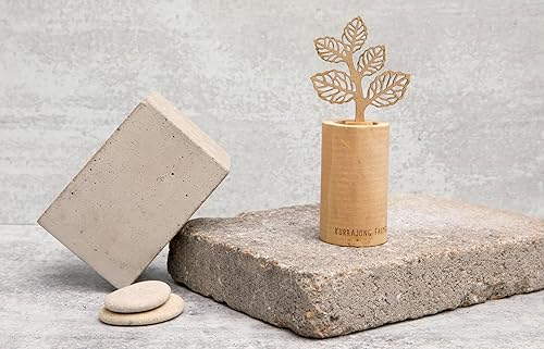 Miniatura 2 de Kurrajong Farmhouse Difusor de aceite esencial | Difusor de flores | Barra difusor de varillas de madera | Difusor de caña pequeña de 6 pulgadas |