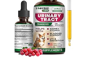 Cat Antibiotics For UTI: Natural Treatment for Urinary Tract Infection