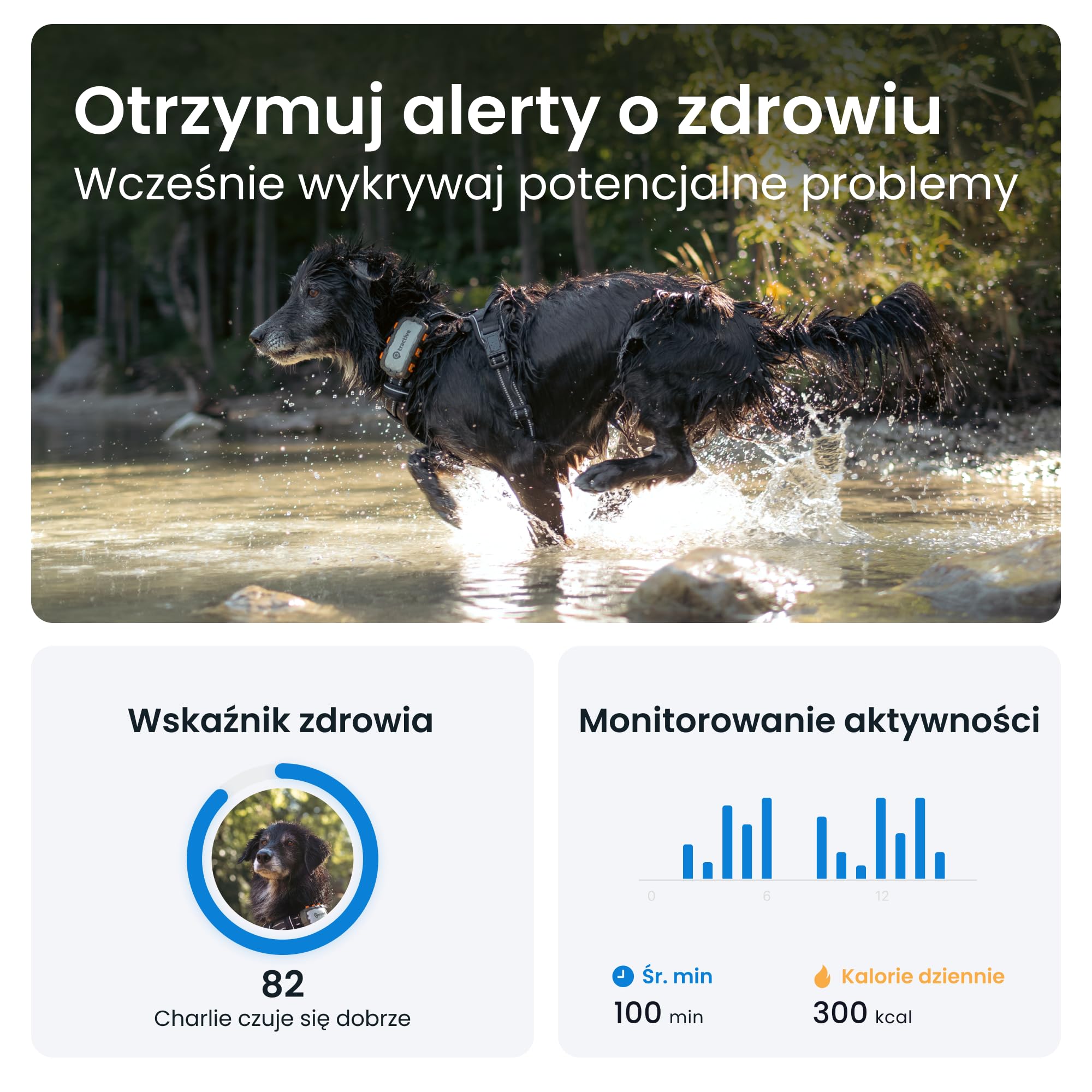Tractive GPS XL Adventure — Lokalizator dla psa, Obudowa z włókna szklanego odporna na ugryzienia, Do miesiąca działania baterii, Śledzenie pozycji w czasie rzeczywistym na całym świecie