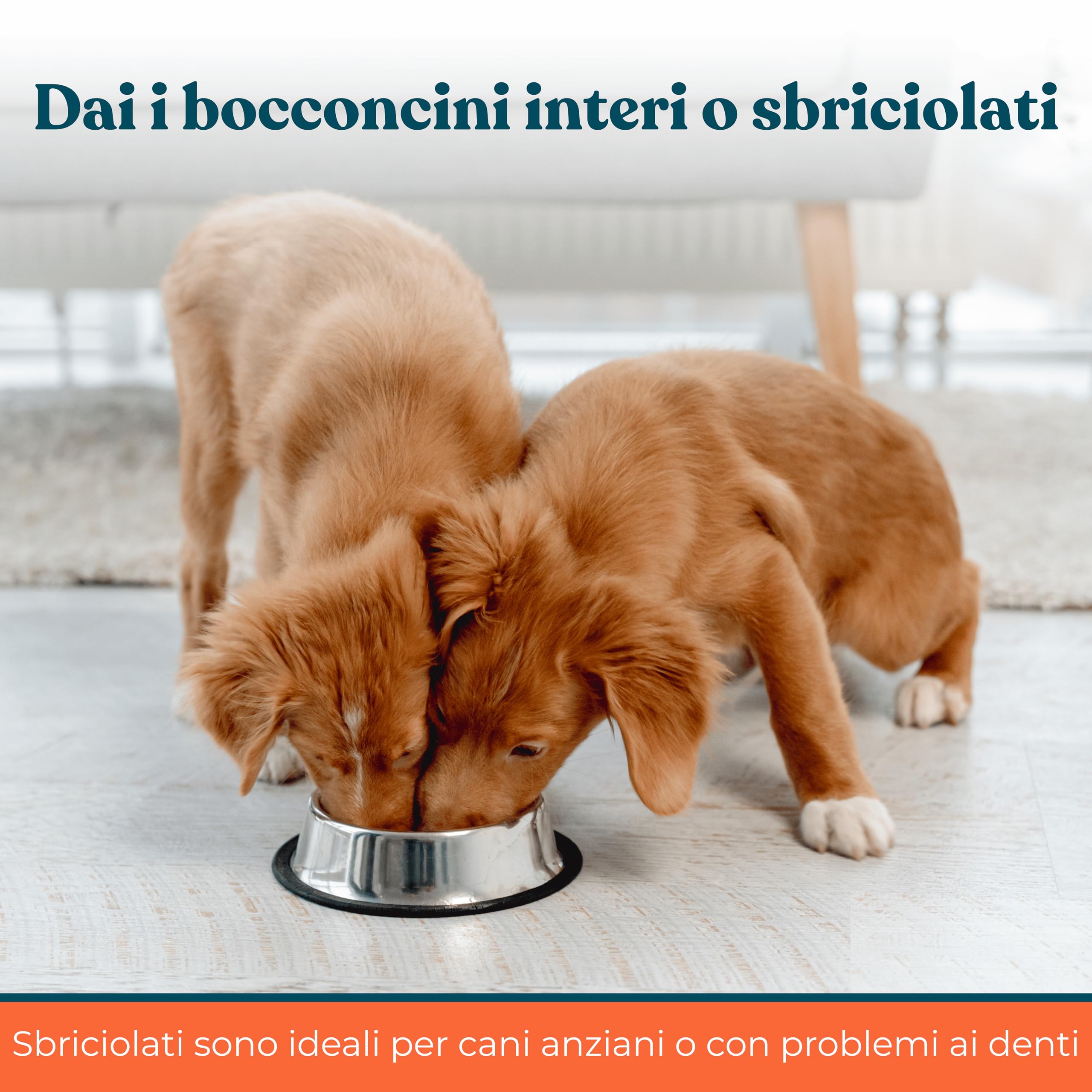 Probiotico per Cani Gusto Manzo - Integratori Probiotici per Cani per Intestino, Prurito e Sistema Immunitario (40 Bocconcini)