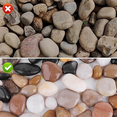 Miniatura 5 de WHANLEY L&Q River Rocks - Piedras decorativas grandes y pulidas ornamentales que cubren plantas rocas (tamaño de las piedras1.5 a 2.5 pulgadas)