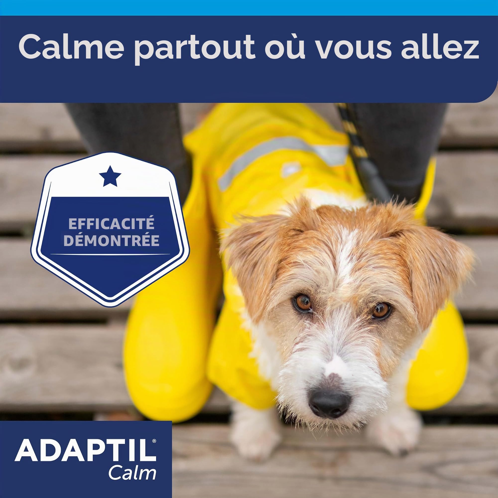 Adaptil calme - Anti-stress pour les chiens - peurs, apprentissage, Bruits importants, Adoption - Collier S pour petits chiens