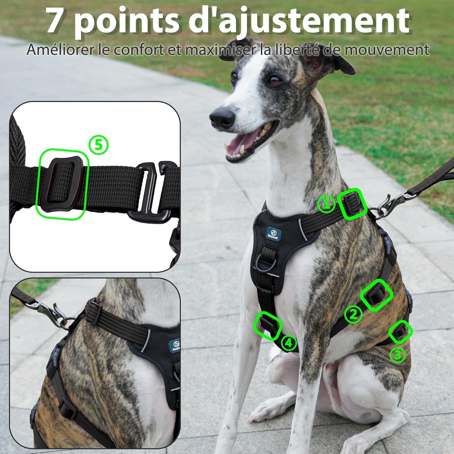 Harnais Anti-Fugue pour Chien, Harnais Anti Traction pour Chien, Réglable, Durable, Respirant, Anti-Étranglement, pour Petits Chiens en Extérieur (Noir,L)