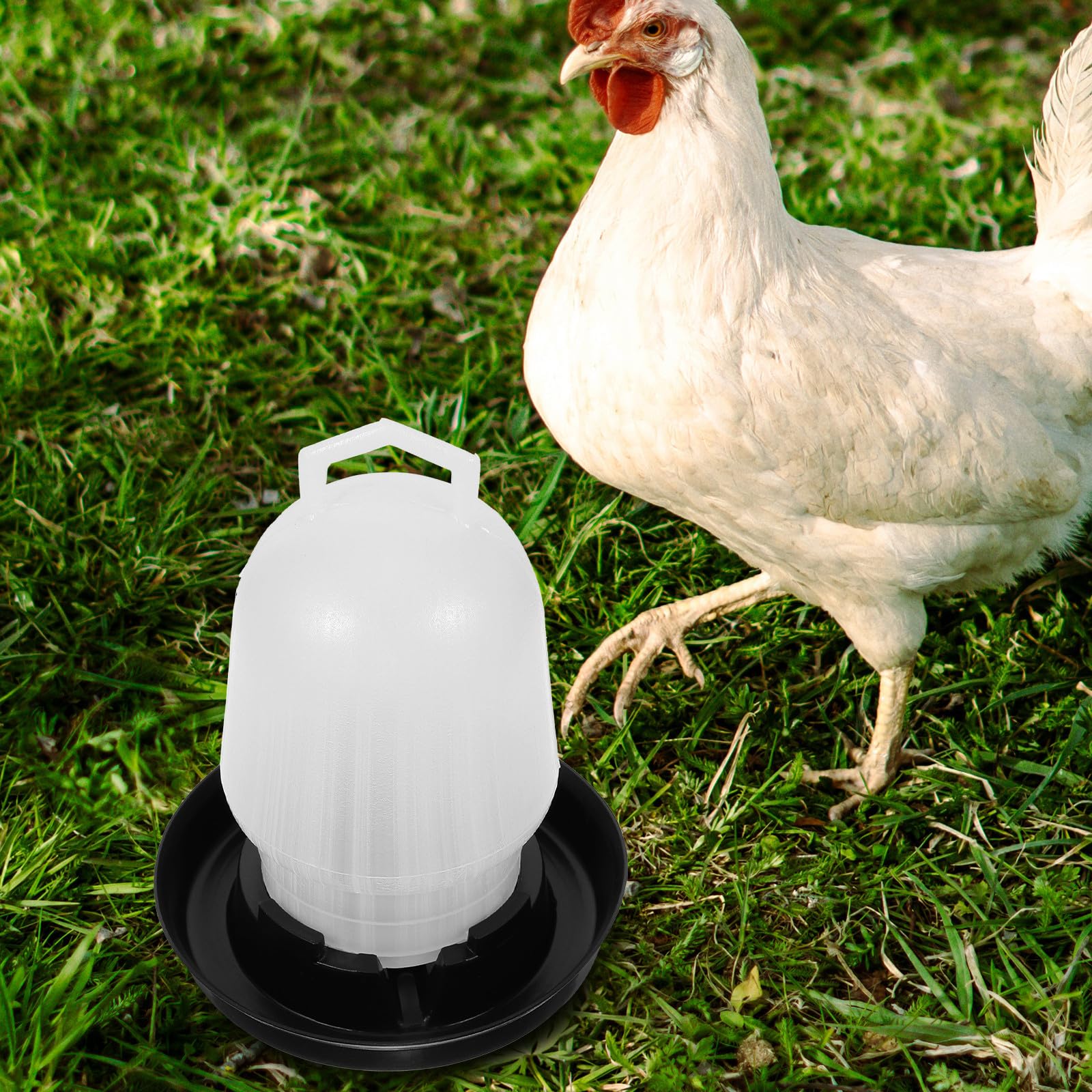 Abaodam Automatic Chicken Water Feeder 0.75kg Capacity, Plastic Poultry Drinking Cup for Chickens, Ducks, and Geese, Gravity-Fed Water Dispenser Suitable for Brooders and Coops