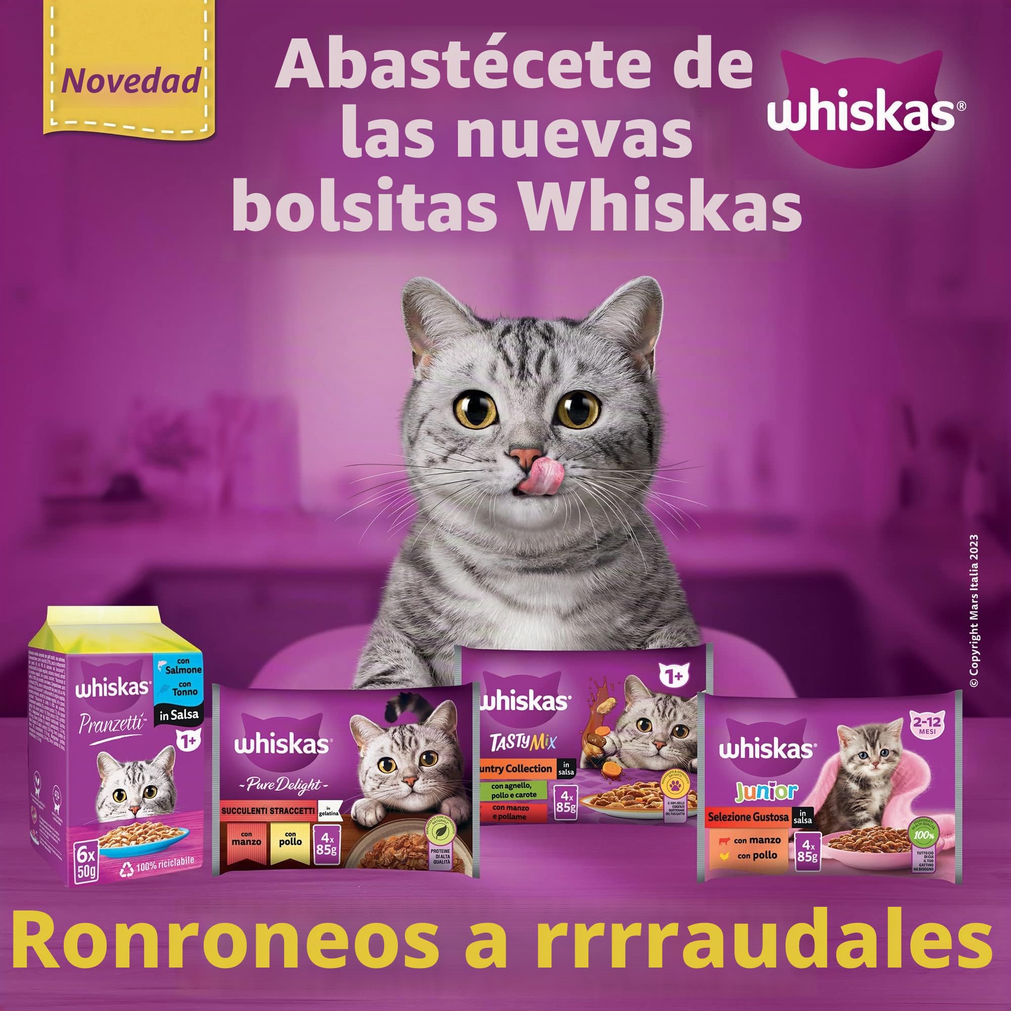 Whiskas Comida Húmeda para Gatos Adultos Selección Pescados en Gelatina en Bolsita 13x4x85g (Paquete de 2)