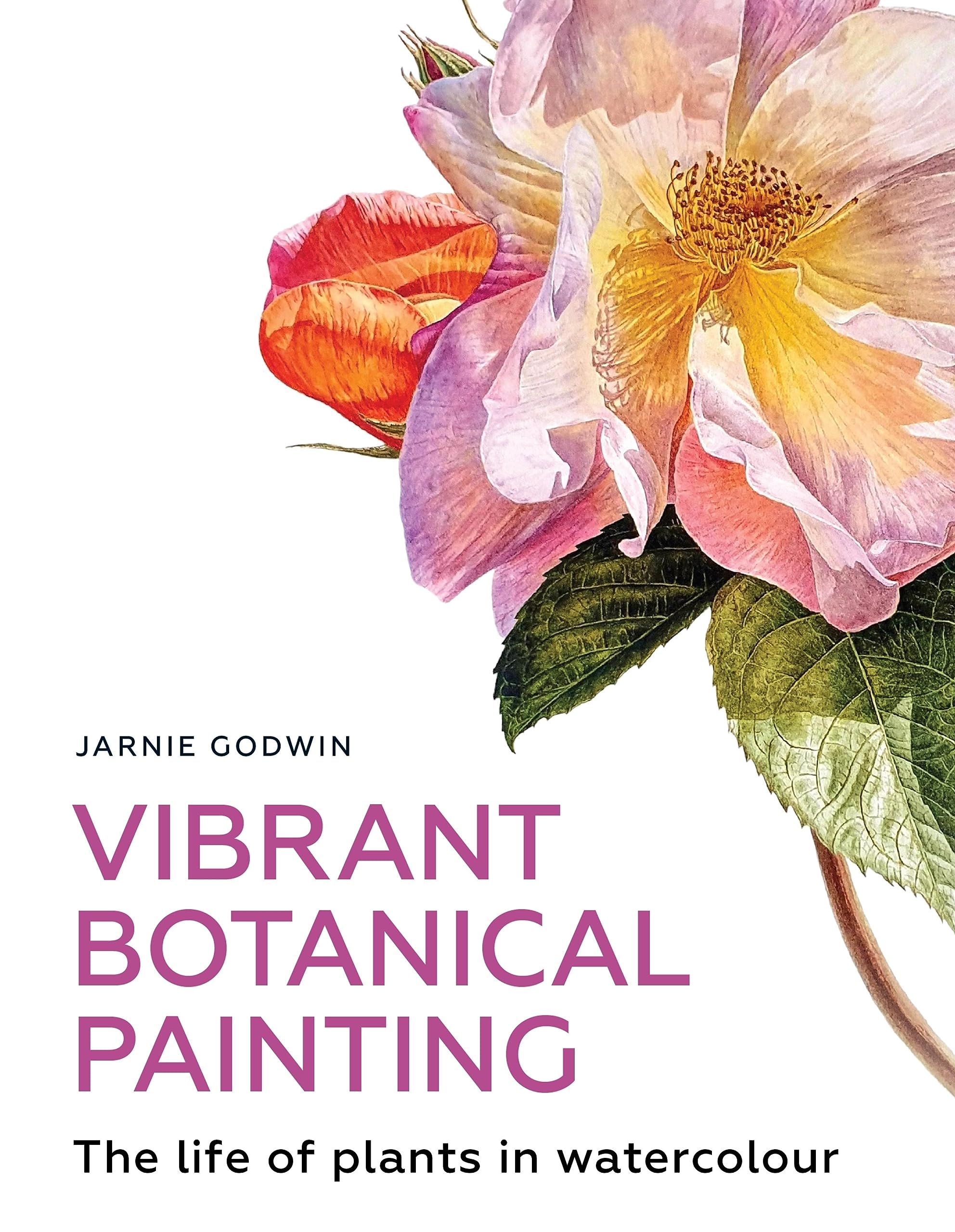 Peinture botanique aquarelle pour animer vos après-midis créatifs au salon avec ce beau livre