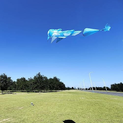 Miniatura 4 de Kaiciuss Cometa Orcas para niños y adultos, cometa de playa grande 3D de una sola línea, enorme cometa suave sin marco, cometa gigante de brisa de