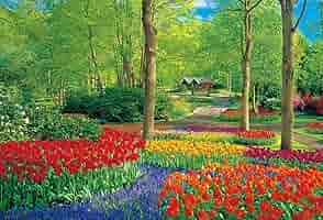 Amazon.co.jp: 【日本製】 ビバリー 1000ピースジグソーパズル