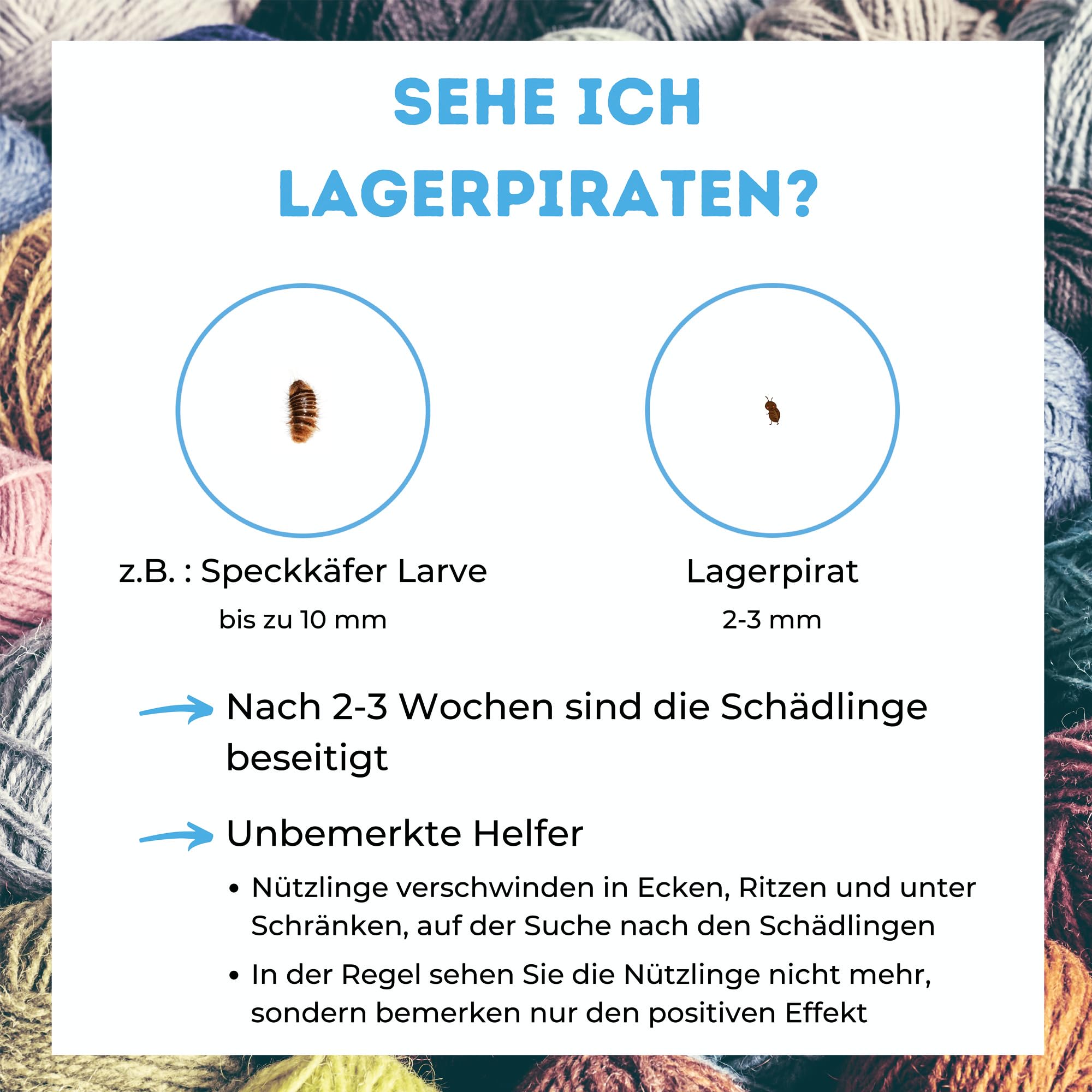 Speckkäfer & vieles mehr bekämpfen mit Lagerpiraten (120 Tiere in Kunststoffröhre) – für ca. 60 m² – 100% Biologisch, Chemiefrei & Natürlich – Made in Germany