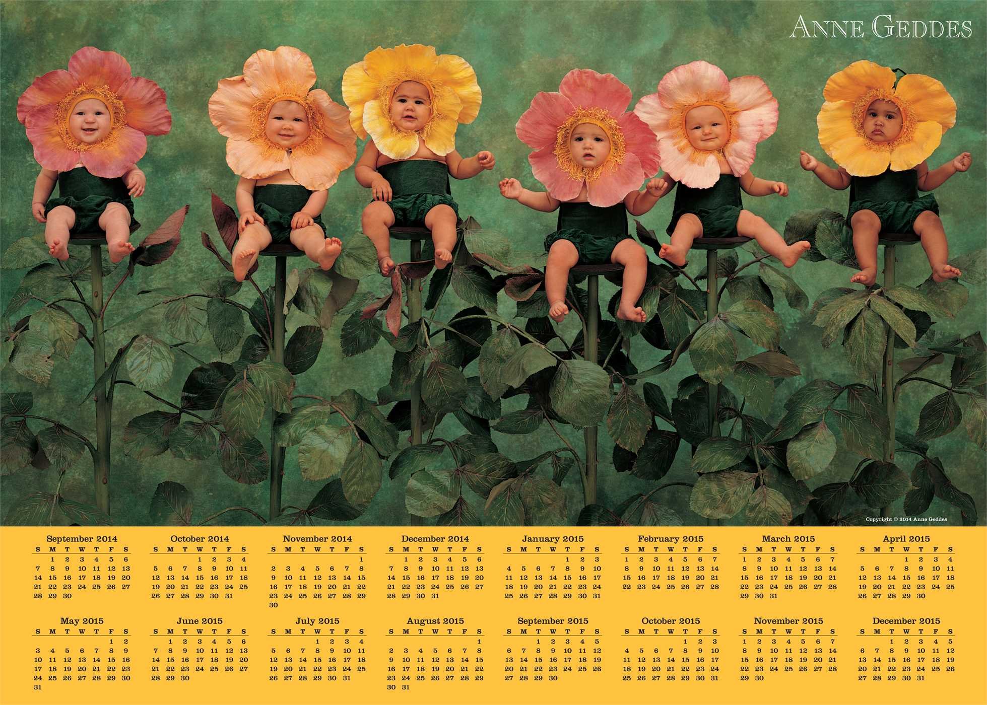 Anne Geddes 2014-15 16-Month Calendar Poster de Collection Émotion Douceur