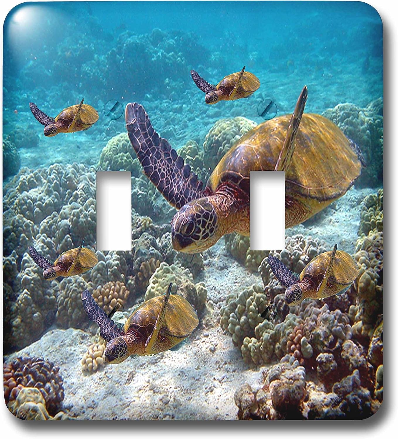 3dRose LLC lsp_26850_2 Sea Turtles, Double Toggle Switch
