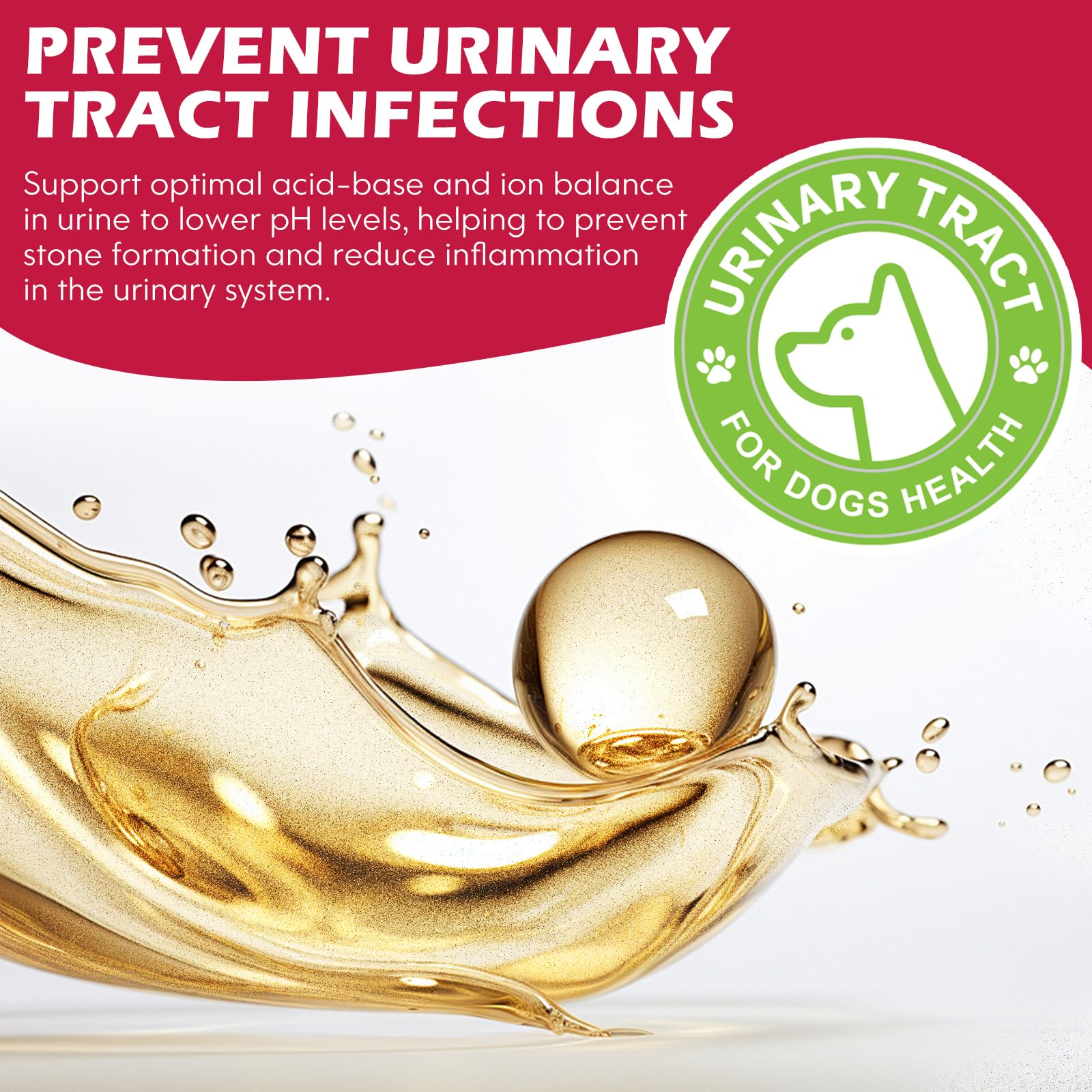 Dog Urinary Tract Infection Treatment, Natural Dog UTI Treatment Drops - Image 2