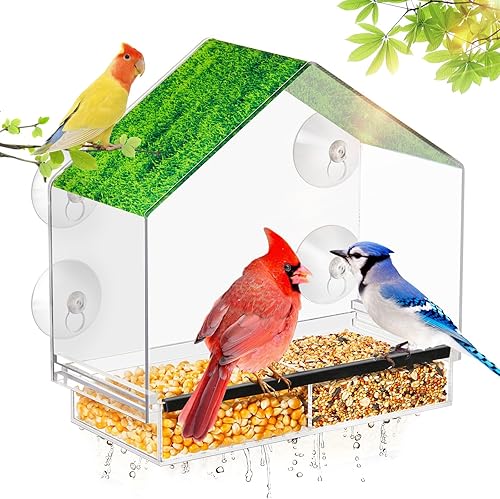 Comederos para pájaros con ventosas fuertes, orificios de drenaje, comedero transparente para pájaros para exteriores, soporte de vidrio para