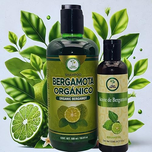 Miniatura 2 de Champú Bergamota Orgánico (16.9 fl oz) con Aloe Vera y Romero + Aceite de Bergamota (4.2 fl oz)  Champú Orgánico Bergamota con Sábila & Romero +