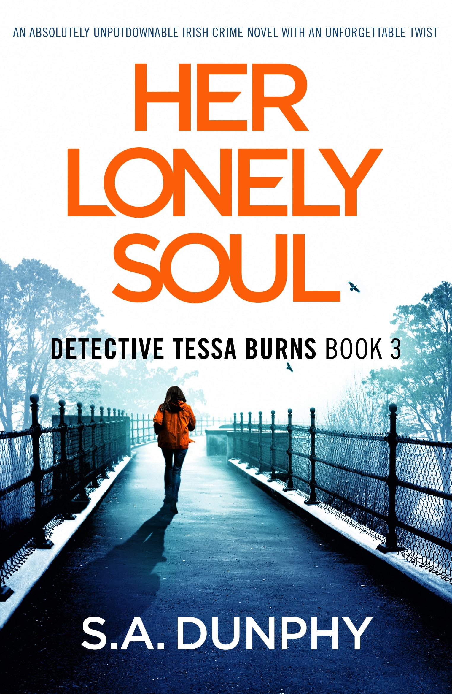 Her Lonely Soul: An absolutely unputdownable Irish crime novel with an unforgettable twist (Detective Tessa Burns Book 3)