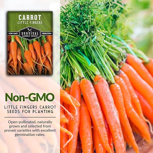 Miniatura 4 de Survival Garden Seeds - Semilla de zanahoria Little Fingers para plantar - Paquete con instrucciones para plantar y cultivar deliciosas zanahorias