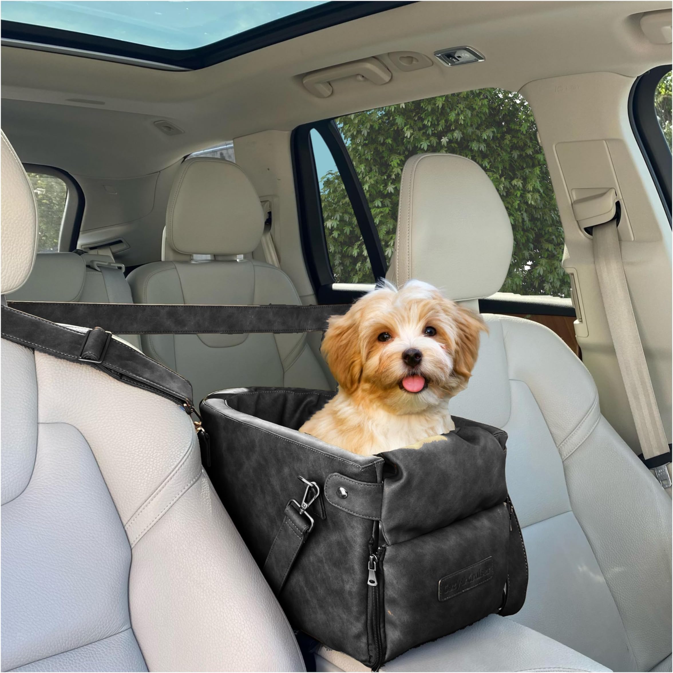 Armrest Console Car Seat for Small Pets- Premium Faux Leather - with Safety Tethers and Straps for Travel (Charcoal)