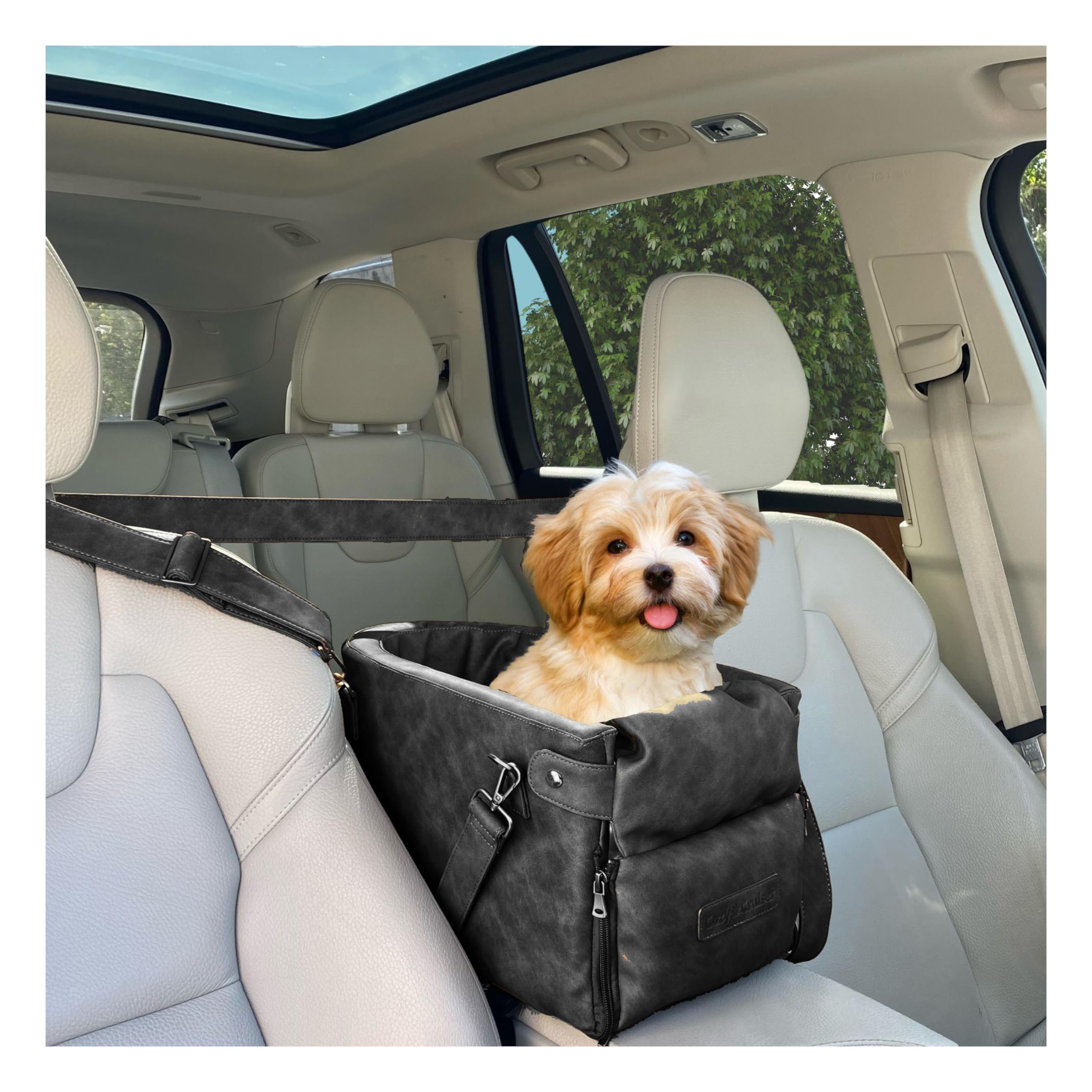 Armrest Console Car Seat for Small Pets- Premium Faux Leather - with Safety Tethers and Straps for Travel (Charcoal)