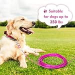 Dog Tie Out Cable Chew Proof, Long Dog Leash 30FT, Dog Runner for Yard Heavy Duty, Dog Chains for Outside, Sturdy Long Line Lead for Dogs Training Outdoor in Yard or Camping