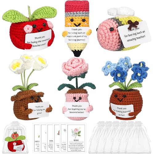 6 Set Back to School Teacher Gifts Emotional Crochet Appreciation Positive Pencil Support Knitted Crochet with Inspirational Message Thank You Teacher Gifts for Women Mentor Office Desk