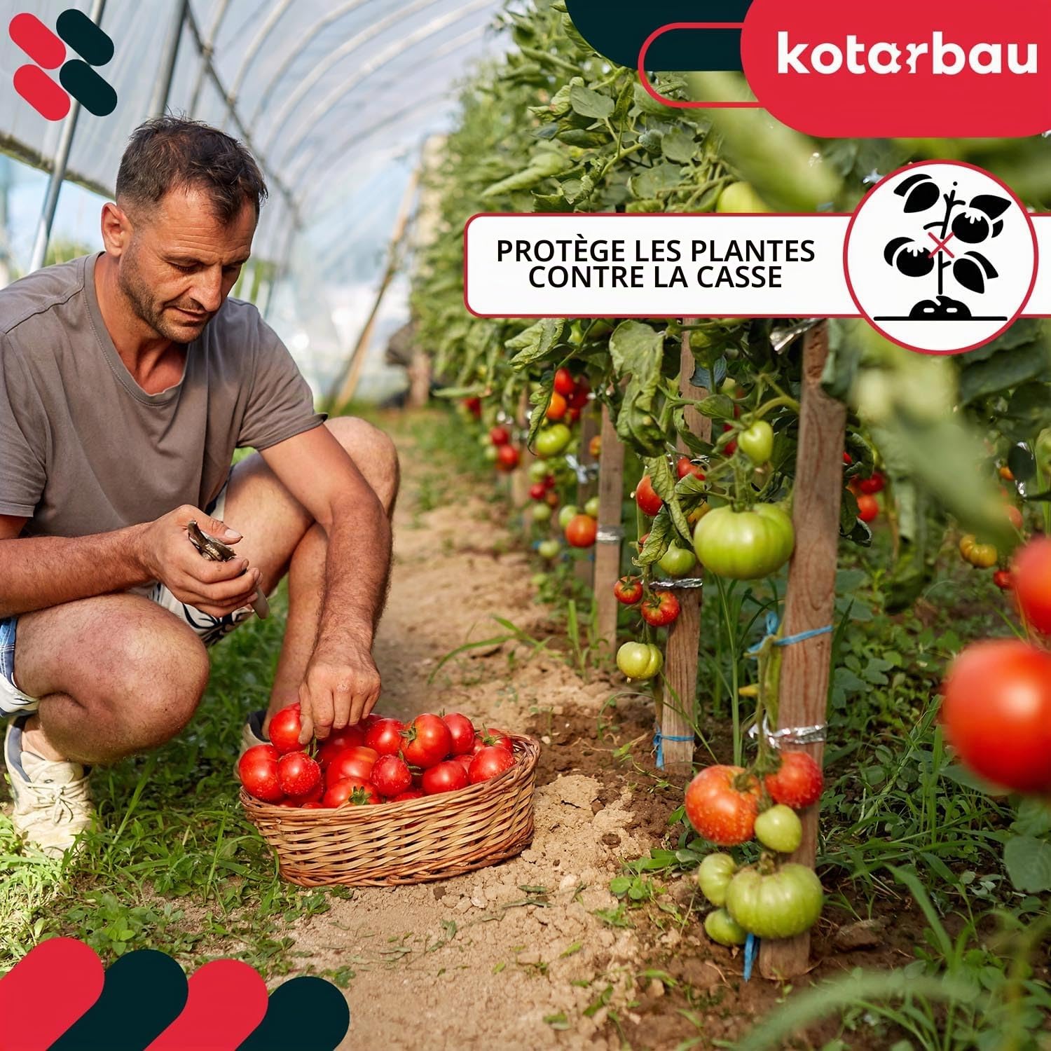 KOTARBAU® 20 Pièces Tuteur Tomate - Bois de Hêtre - 120 cm - Naturel - Tuteur Plante - Piquet de Jardin - Poteau Bois - Piquet Tomate - Support Plante Grimpante
