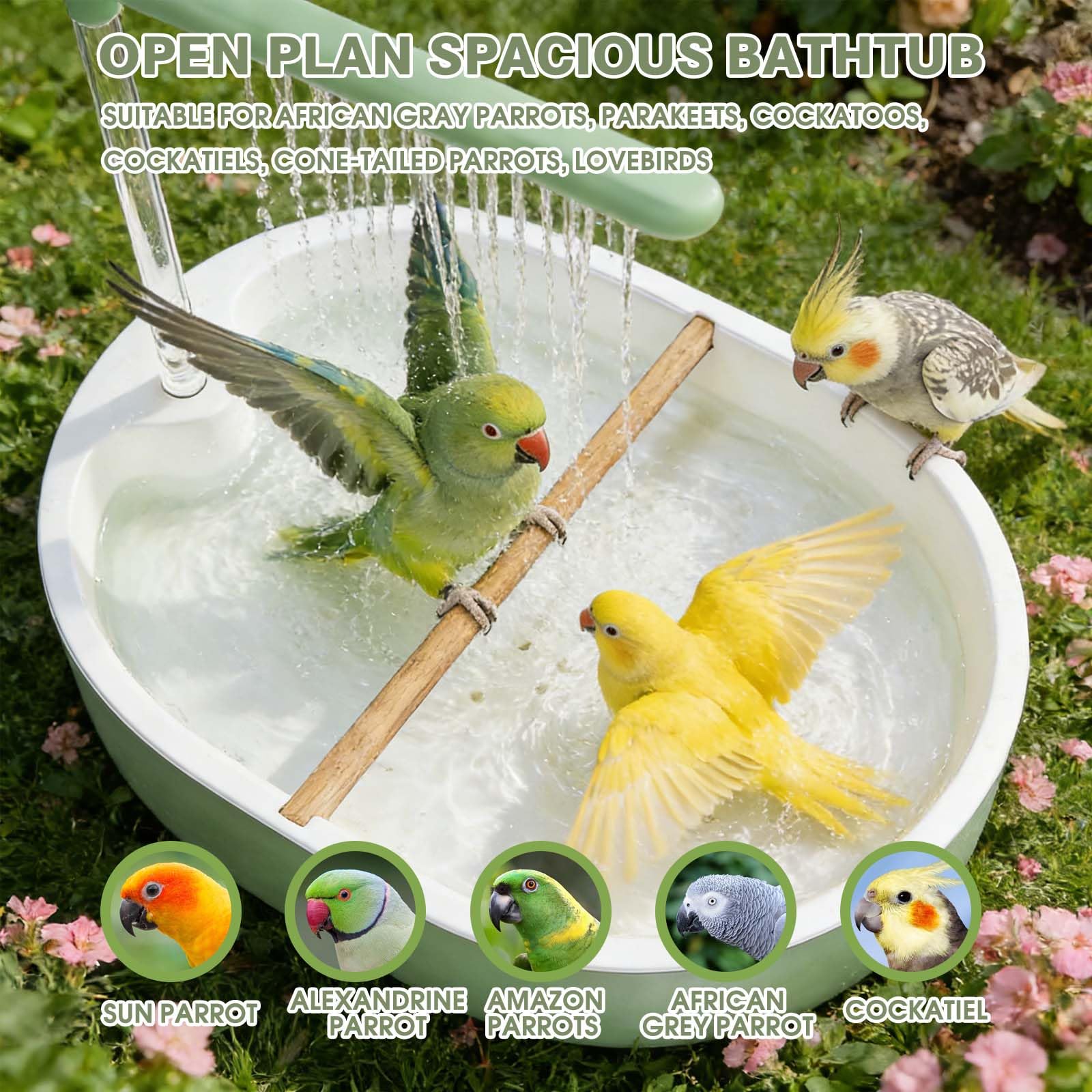 Baño automático para pájaros, agua circulante, bañera grande para periquitos, fuente de ducha para periquitos, periquitos, cacatúas, conures, tortolitos, grises africanos
