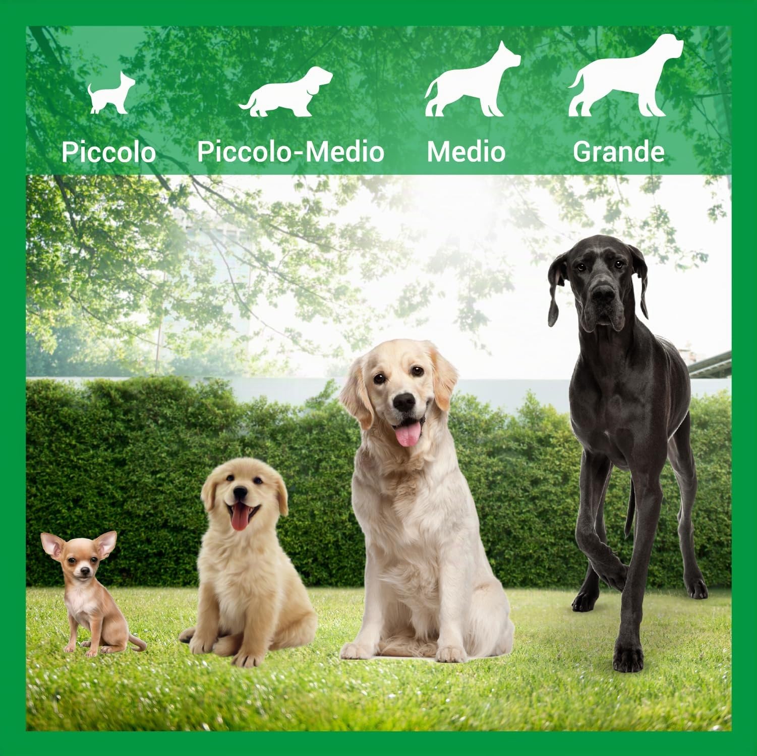 Crisalide – Cuccia per Cani Grande | Robusta, Impermeabile e Resistente ai Raggi UV | Facile da Montare e Pulire | Ideale per Esterni e Interni, 3 dimensioni (XL)