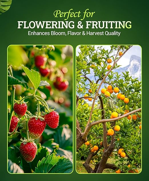 FoxFarm Bush Doctor Bembé Fertilizante Líquido para Plantas 1 Pint miniatura 5