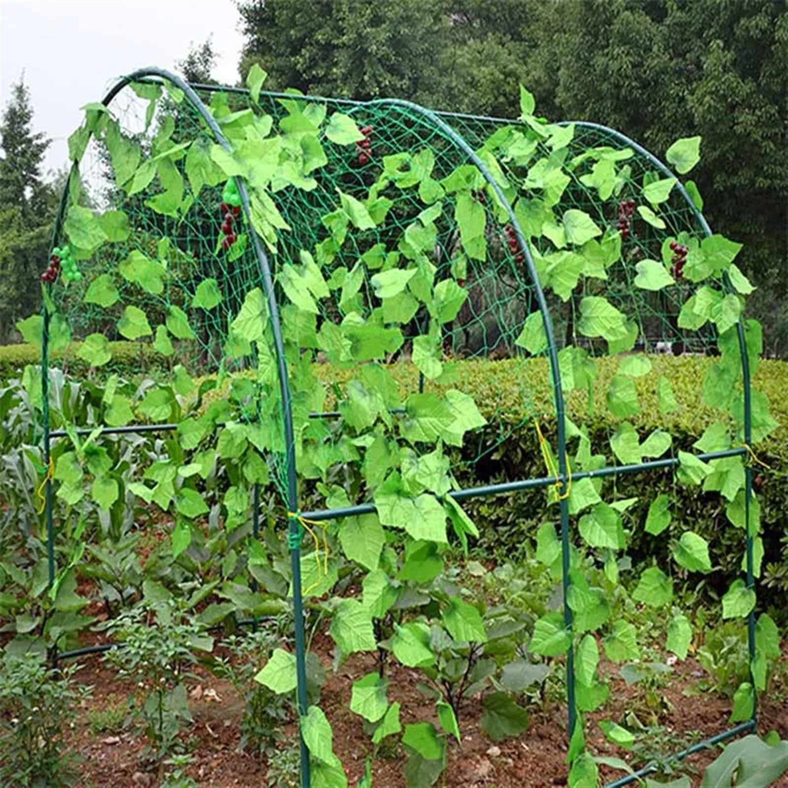 Rete da arrampicata da giardino, 1,8 m x 3,6 m, supporto per fiori, verdure, cetrioli e piante rampicanti, ideale per giardino e serra