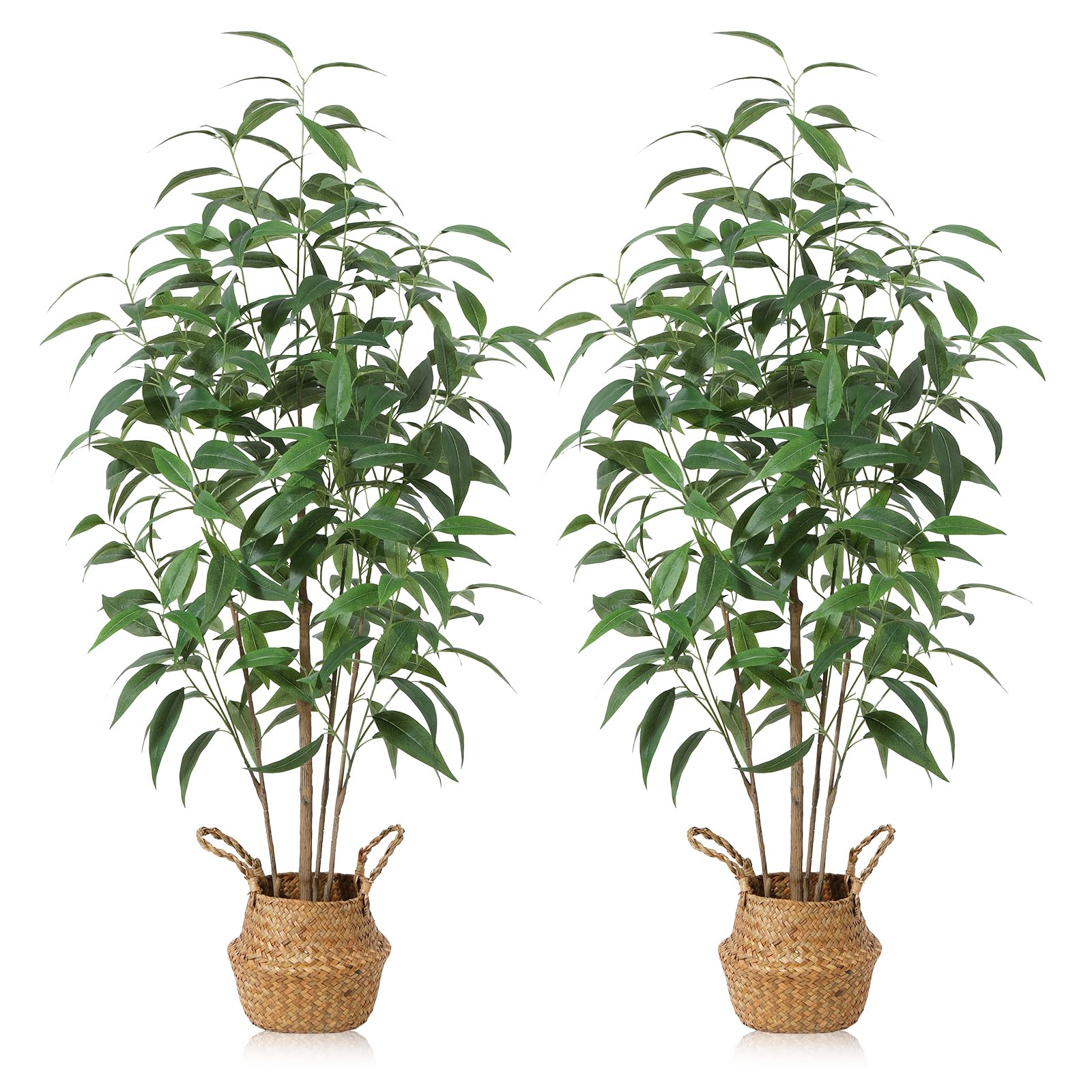 Ferrgoal 4ft Eucalyptus 2-Pack