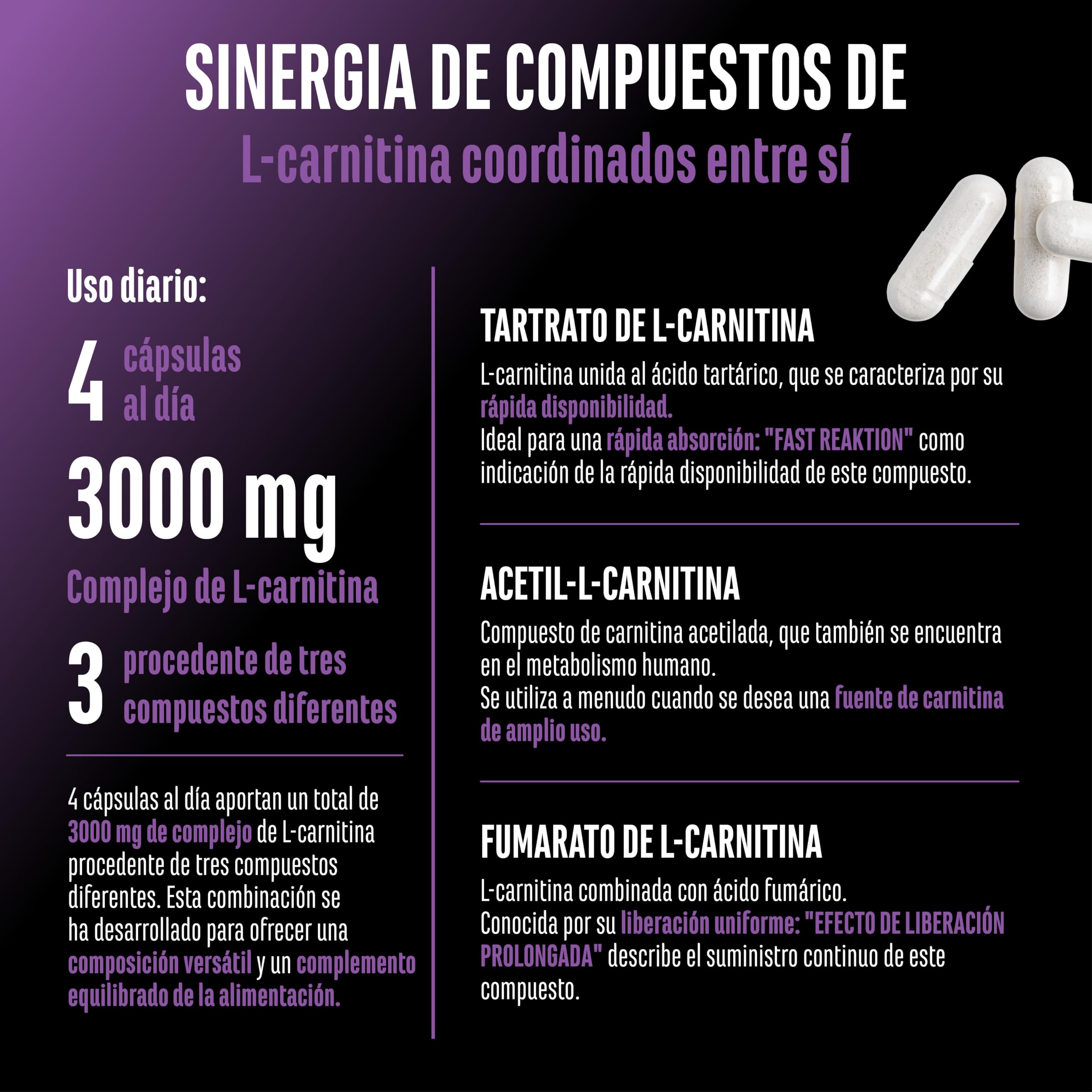 L-Carnitine Triple Complex - 3000 mg por racin diaria Alta dosis y vegano Frmula premium con acetil-, tartrato y fumarato de L-carnitina 120 cpsulas : Amazon.es: Salud y cuidado personal L-Carnitine Triple Complex - 3000 mg por racin diaria Alta dosis y vegano Frmula premium con acetil-, tartrato y fumarato de L-carnitina 120 cpsulas : Amazon.es: Salud y cuidado personal
