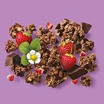 Prana - Granolove Gourmet Chocolate Strawberry Cake, 300g