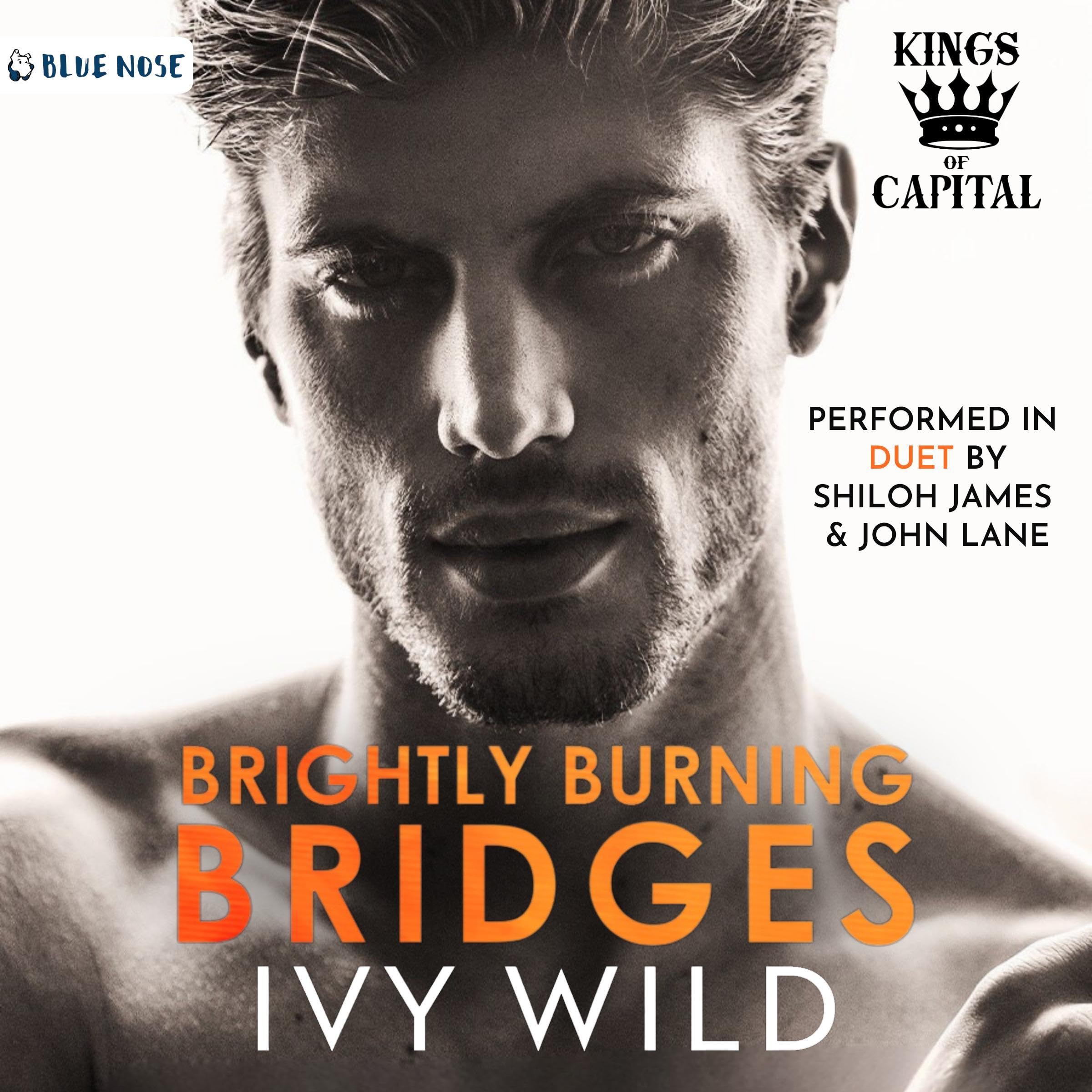 Brightly Burning Bridges