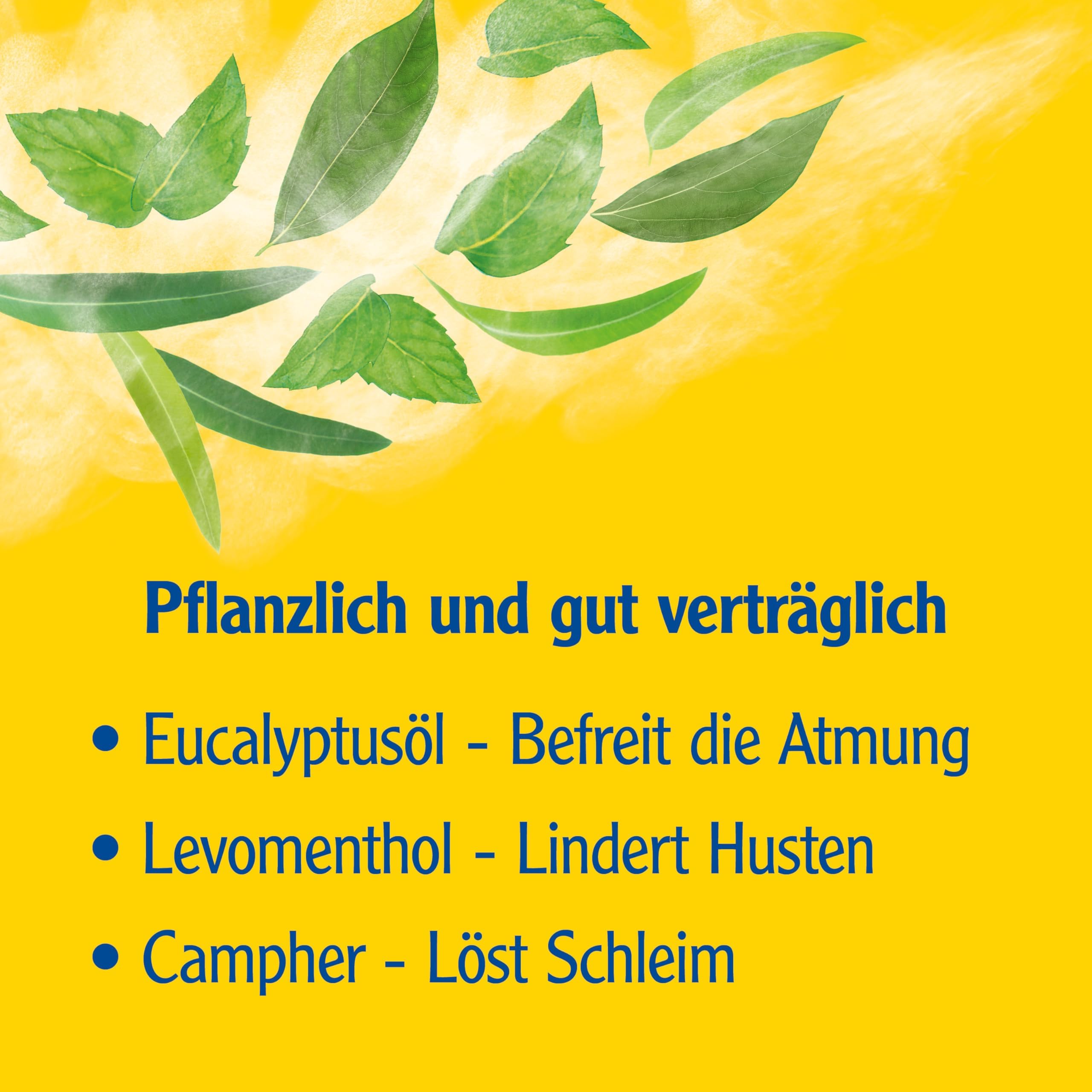 Pinimenthol Erkältungsbad | 2 x 1000 ml | Badezusatz mit ätherischen Ölen | Eucalyptusöl, Menthol & Campher wirken befreiend bei Erkältung | Erkältungsbad für alle ab 12 Jahren | Löst Schleim & lindert Husten mit Eucalyptusöl, Levomenthol & Campher, befre