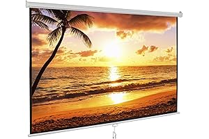 100-inch 16:10 Foldable Screen
