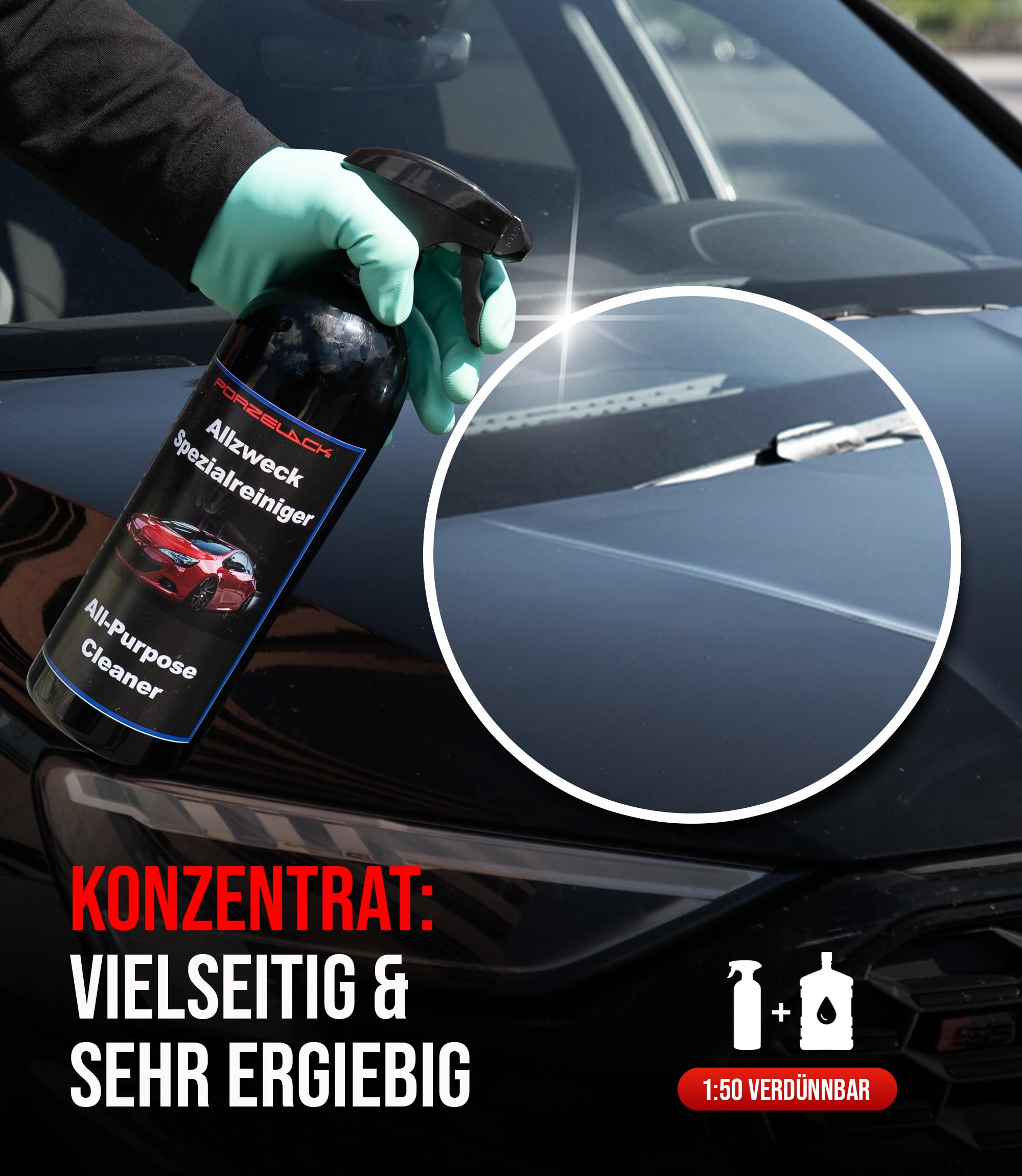 Allzweckreiniger Kanister 5 Liter Reinigungsmittel Konzentrat - NEU Universalreiniger für Küche, Bad, Fenster, WC oder als Bodenreiniger