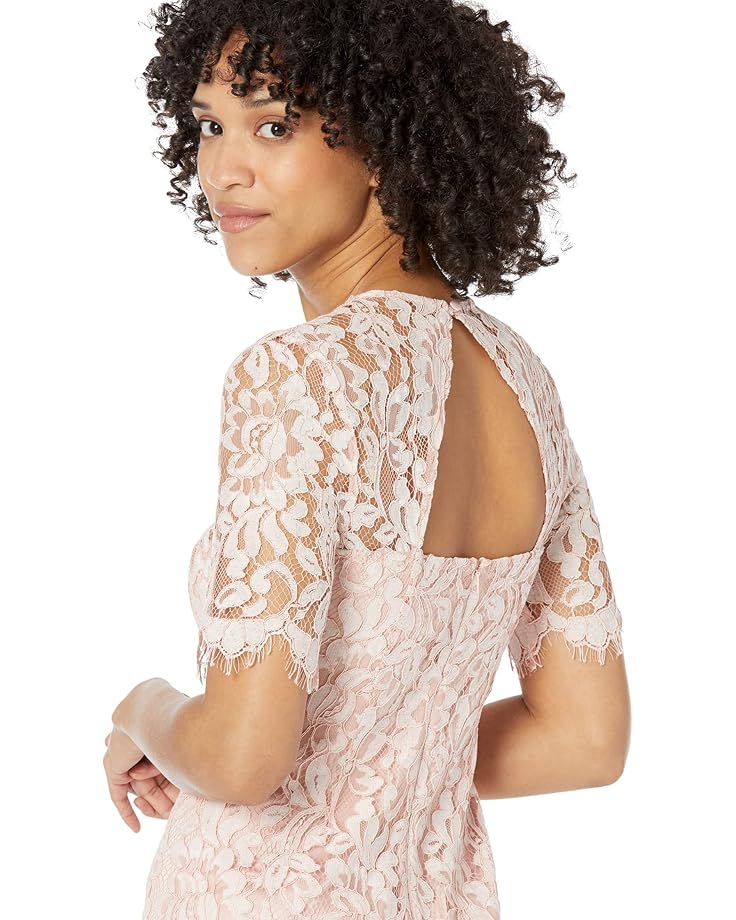 Vince Camuto Lace Jewel Neck Elbow Sleeve Bodycon Open Back Dress - #3 of 3