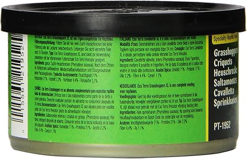 Miniatura 3 de Exo Terra Alimentos especiales para reptiles, conservas XL saltamontes para reptiles, PT1952