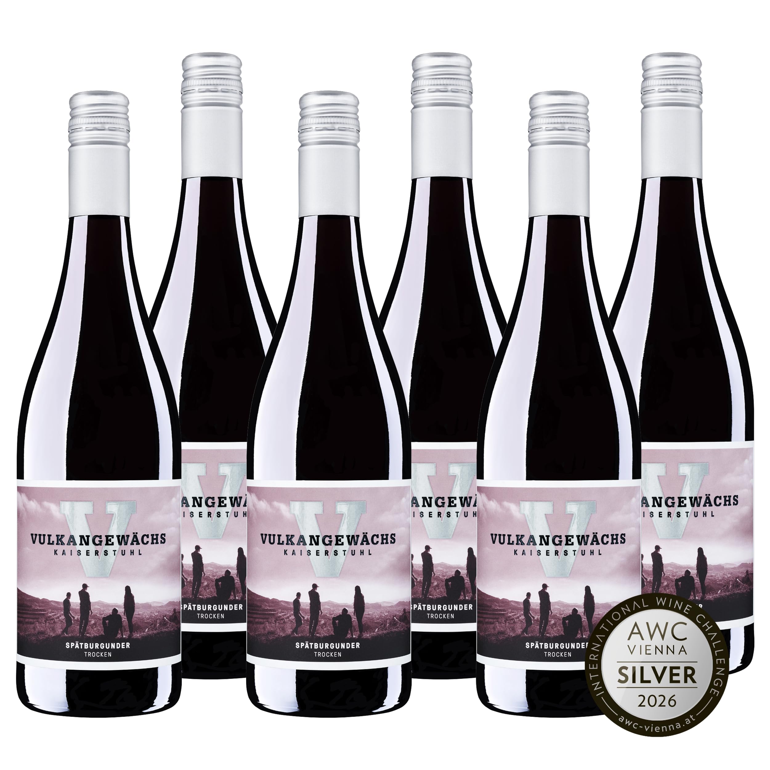 Vulkangewächs Kaiserstuhl Spätburgunder QbA trocken - SILBER 2025 AWC Vienna - Rotwein trocken, ausdrucksstark und kräftig im Geschmack - Badischer Wein (6 x 0,75 l)